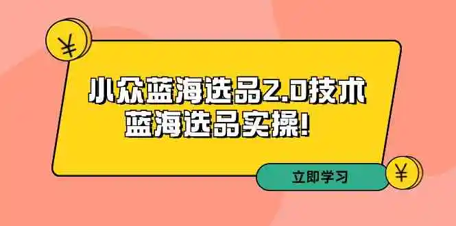 （9189期）拼多多培训第33期：小众蓝海选品2.0技术-蓝海选品实操！-课程网