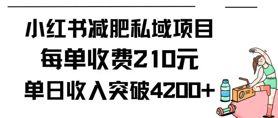 （9466期）小红书减肥私域项目每单收费210元单日成交20单，最高日入4200+-课程网