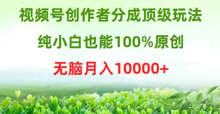 （9608期）视频号创作者分成顶级玩法，纯小白也能100%原创，无脑月入10000+-课程网