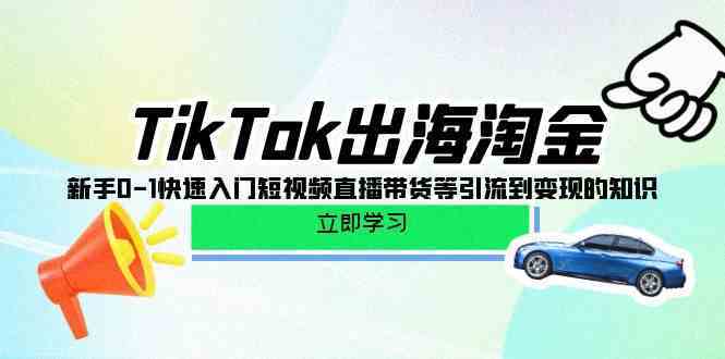 TikTok出海淘金，新手0-1快速入门短视频直播带货等引流到变现的知识-课程网