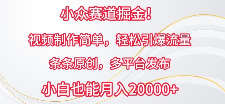 小众赛道掘金，视频制作简单，轻松引爆流量，条条原创，多平台发布【揭秘】-课程网