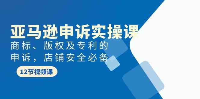 亚马逊申诉实战课，商标、版权及专利的申诉，店铺安全必备-课程网
