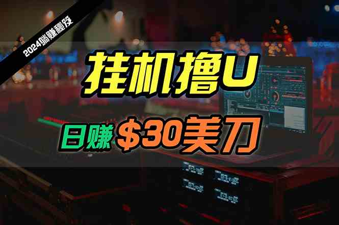 （10013期）日赚30美刀，2024最新海外挂机撸U内部项目，全程无人值守，可批量放大-课程网