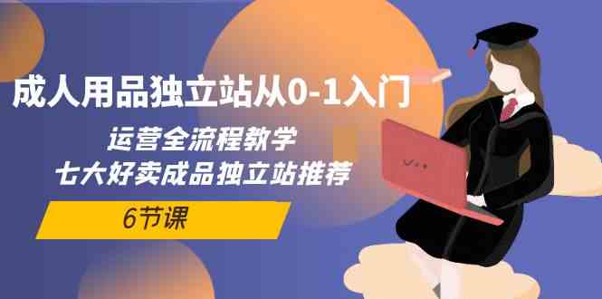 （10082期）成人用品独立站从0-1入门，运营全流程教学，七大好卖成品独立站推荐-6节课-课程网