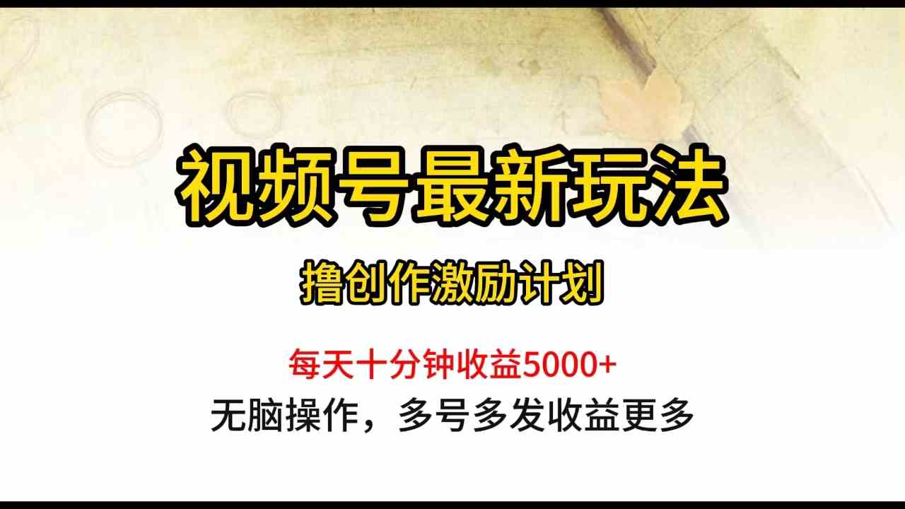 （10087期）视频号最新玩法，每日一小时月入5000+-课程网