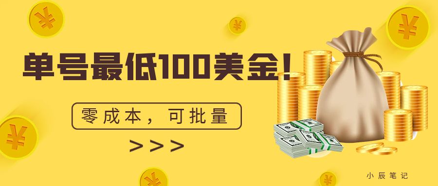 （6975期）单号最低100美金，零成本，小白无脑操作。可复制，可扩大。-课程网