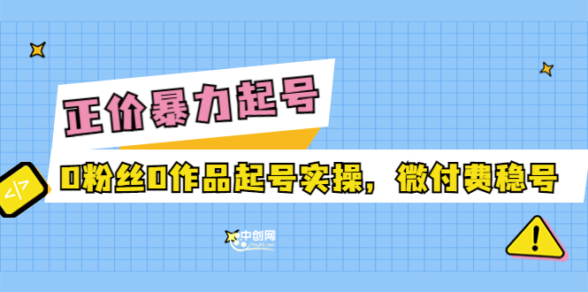 （3377期）正价暴力起实操号：0粉丝0作品起号实操，微付费稳号-课程网