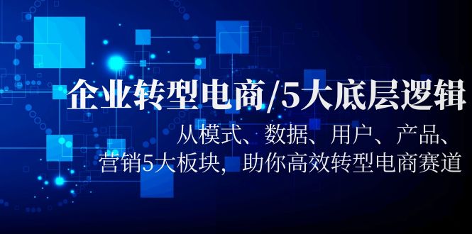 （5939期）企业转型电商/5大底层逻辑，从模式 数据 用户 产品 营销5大板块，高效转型-课程网