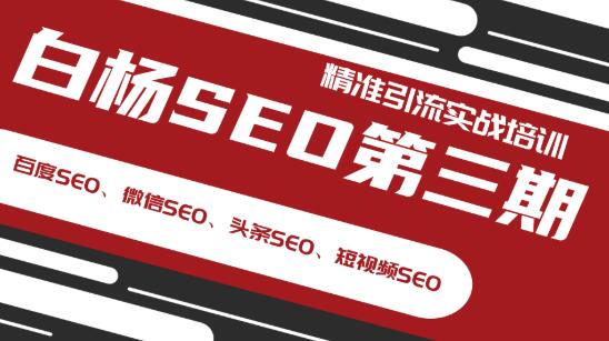 （1240期）白杨SEO第三期精准引流实战培训（百度SEO、微信SEO、头条SEO、短视频SEO）-课程网