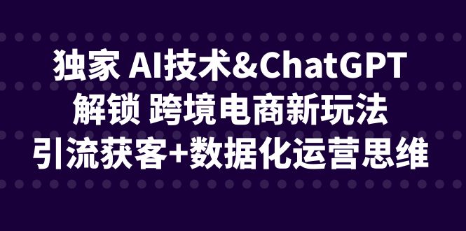 （6599期）独家 AI技术&ChatGPT解锁 跨境电商新玩法，引流获客+数据化运营思维-课程网
