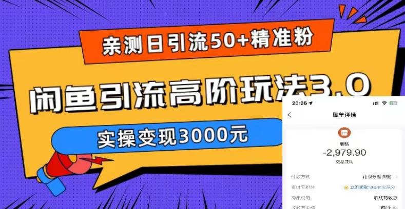 （5739期）实测日引50+精准粉，闲鱼引流高阶玩法3.0，实操变现3000元-课程网