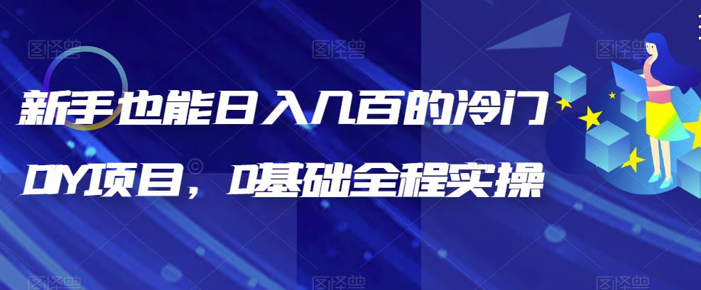 （6630期）新手也能日入几百的冷门DIY项目，0基础全程实操【揭秘】-课程网
