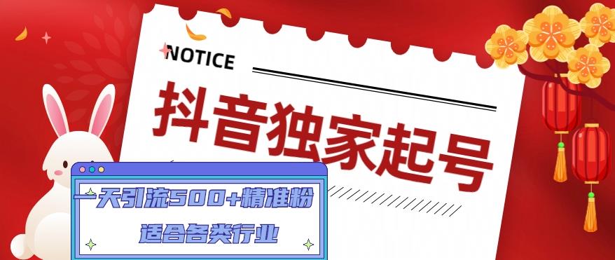 （4906期）抖音独家起号，一天引流500+精准粉，适合各类行业（9节视频课）-课程网