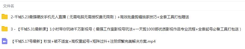 （1344期）1小时带你玩转千万影视号：专业起号+模板制作+1天剪1000部影视+全套工具-课程网