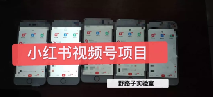（1566期）野路子小红书课程月入过万：直接上手操作就能赚钱的视频号项目 可长久操作-课程网