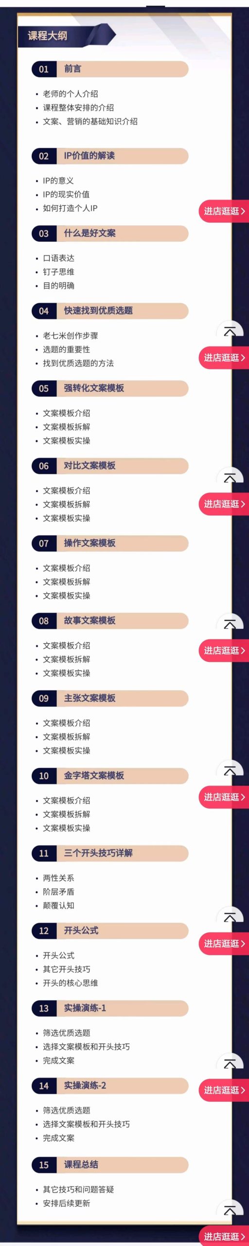 （4019期）老七米文案方法论：带你掌握文案底层逻辑 点字成金（15节课时）-课程网