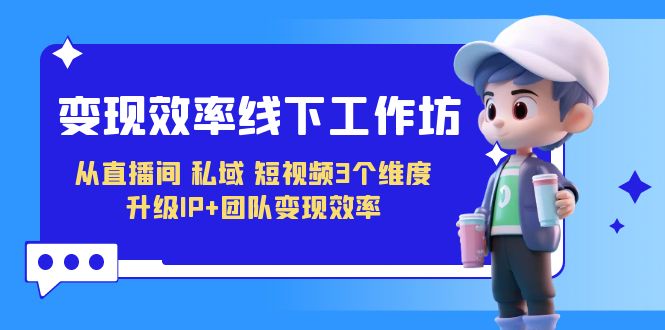 （7095期）变现-效率线下工作坊，从直播间、私域、短视频3个维度 升级IP+团队变现效率-课程网