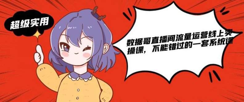 （1866期）数据哥直播间流量运营线上实操课，不能错过的一套系统课-课程网