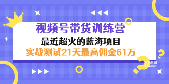 （2946期）外面收899【视频号带货训练营】最近超火：实测21天最高佣金61W(7月4日更新)-课程网
