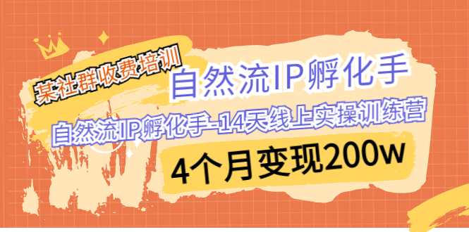 （6924期）某社群收费培训：自然流IP 孵化手-14天线上实操训练营 4个月变现200w-课程网