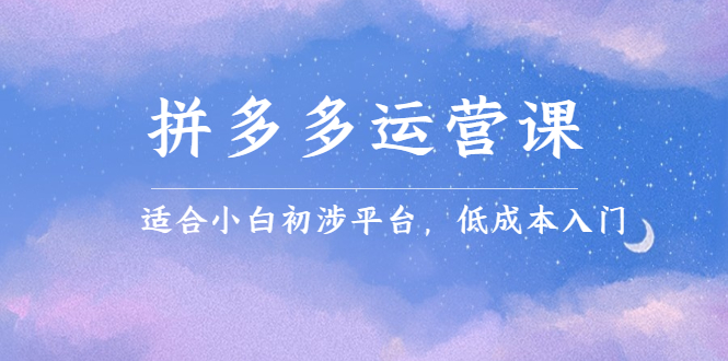 （2323期）拼多多运营课，适合小白初涉平台，低成本入门 创造销量和利润的方法-课程网